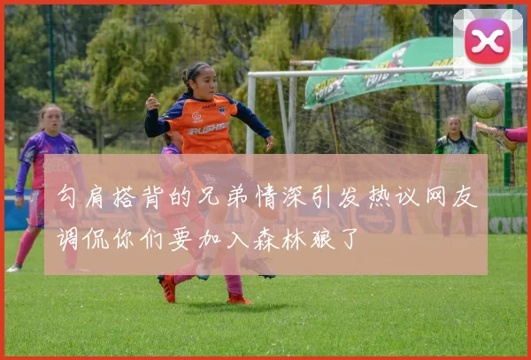 勾肩搭背的兄弟情深引发热议网友调侃你们要加入森林狼了