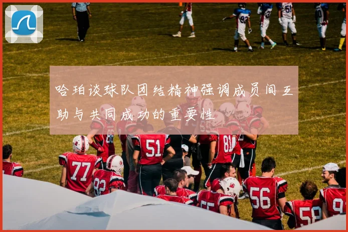 哈珀谈球队团结精神强调成员间互助与共同成功的重要性