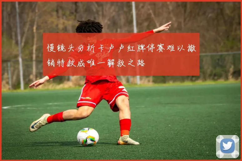 慢镜头分析卡卢卢红牌停赛难以撤销特赦成唯一解救之路